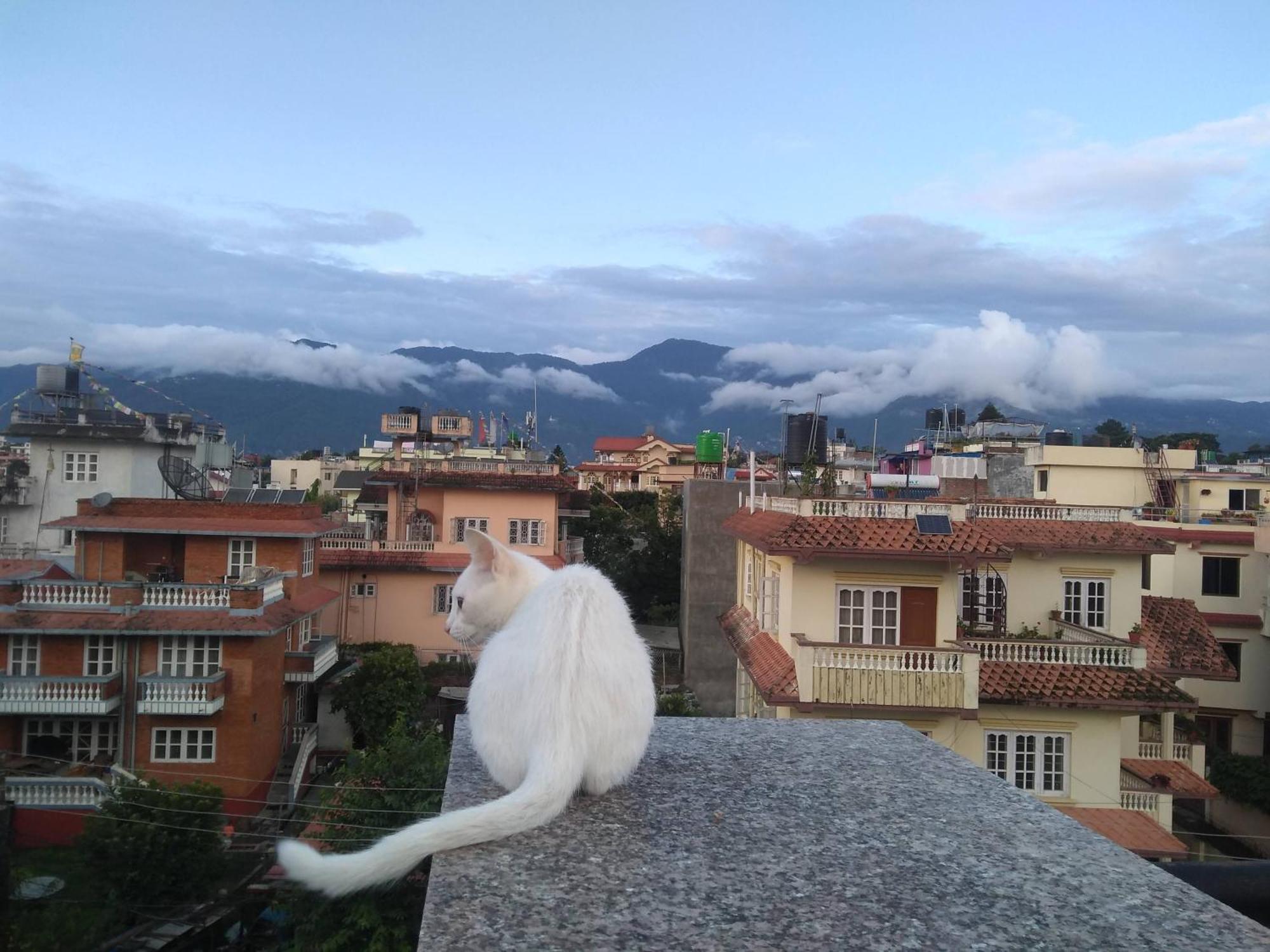 Family Home With Rooftop Access And Mountain View Kathmandu Exterior photo